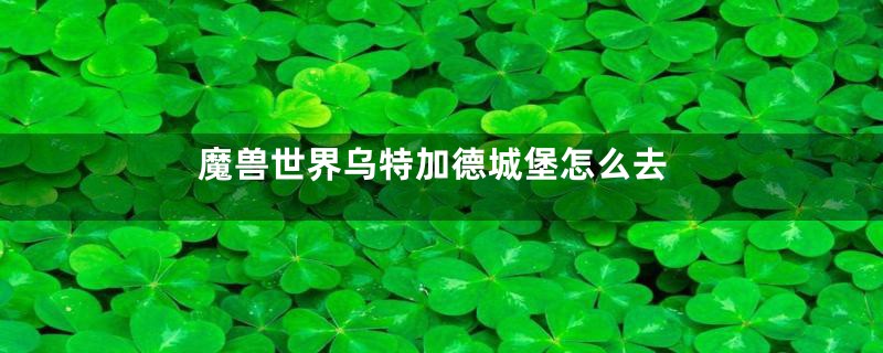 魔兽世界乌特加德城堡怎么去
