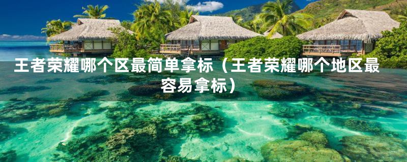 王者荣耀哪个区最简单拿标(王者荣耀哪个地区最容易拿标)