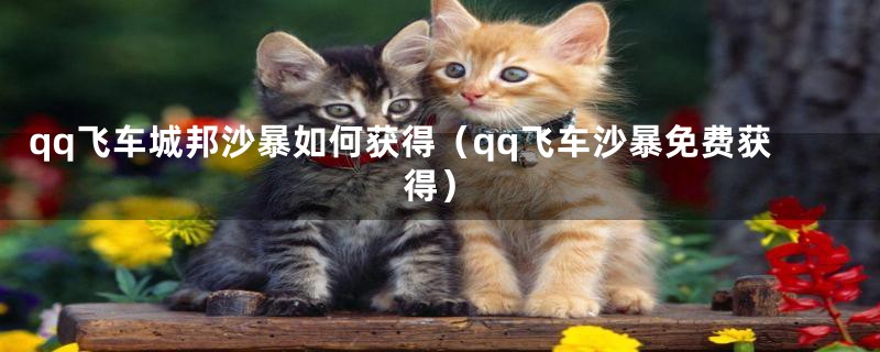 qq飞车城邦沙暴如何获得(qq飞车沙暴免费获得)