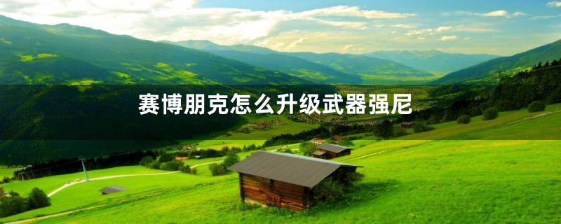 赛博朋克怎么升级武器强尼