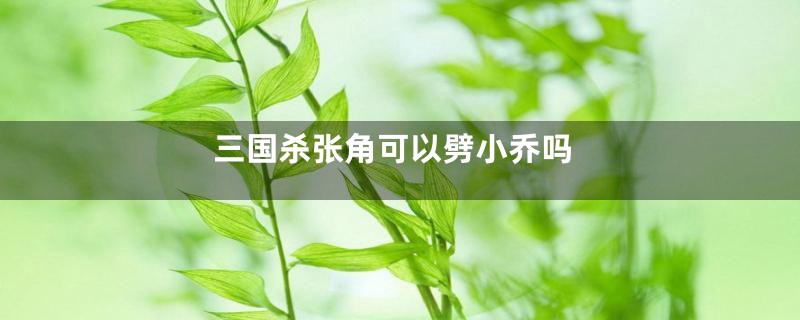 三国杀张角可以劈小乔吗