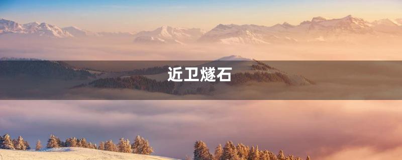 近卫燧石