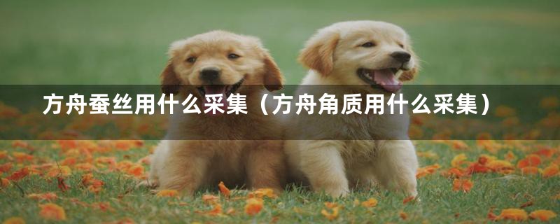 方舟蚕丝用什么采集（方舟角质用什么采集）