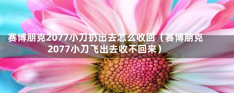 赛博朋克2077小刀扔出去怎么收回(赛博朋克2077小刀飞出去收不回来)