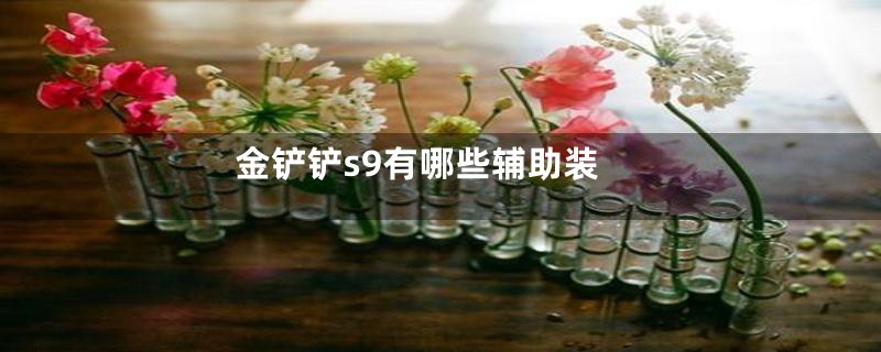 金铲铲s9有哪些辅助装