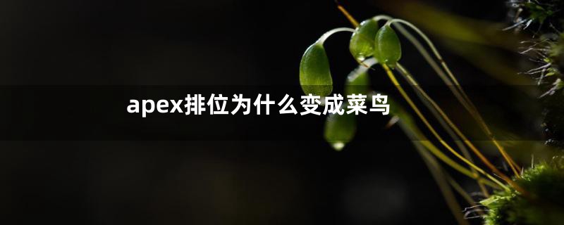 apex排位为什么变成菜鸟