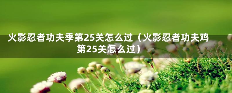 火影忍者功夫季第25关怎么过(火影忍者功夫鸡第25关怎么过)