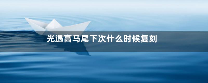 光遇高马尾下次什么时候复刻