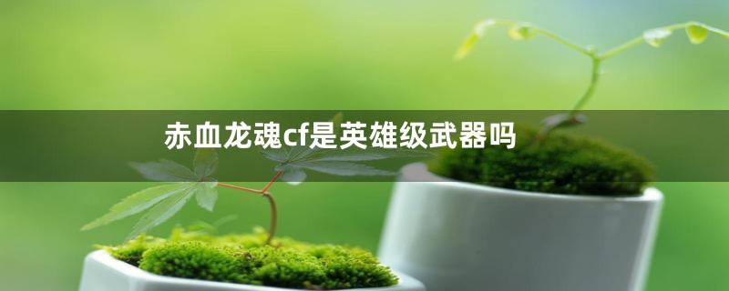 赤血龙魂cf是英雄级武器吗