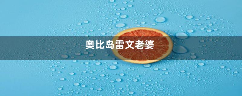 奥比岛雷文老婆