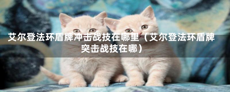 艾尔登法环盾牌冲击战技在哪里(艾尔登法环盾牌突击战技在哪)