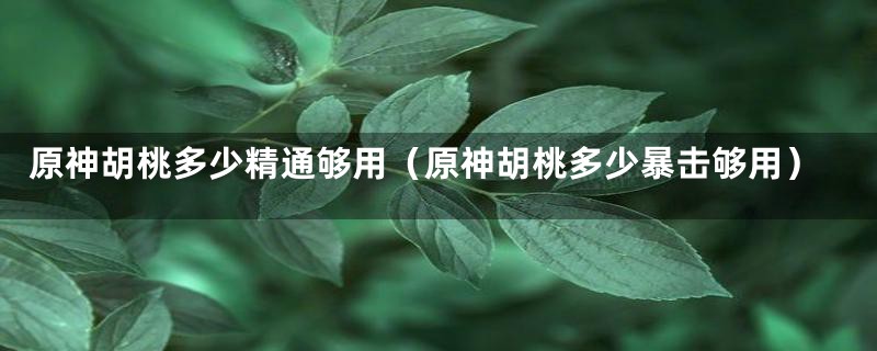 原神胡桃多少精通够用（原神胡桃多少暴击够用）