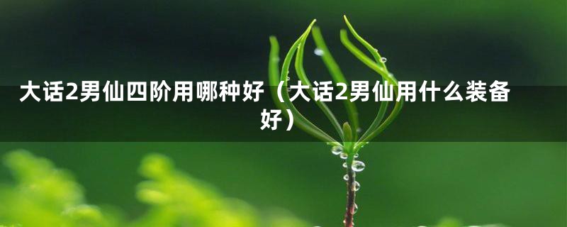 大话2男仙四阶用哪种好(大话2男仙用什么装备好)