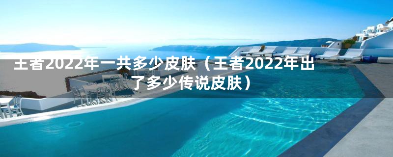 王者2022年一共多少皮肤（王者2022年出了多少传说皮肤）