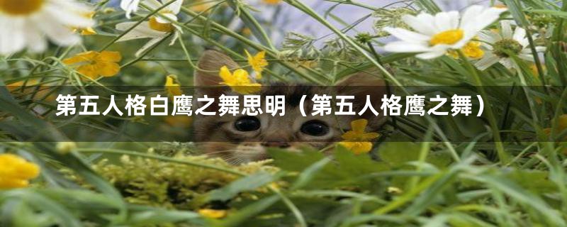 第五人格白鹰之舞思明(第五人格鹰之舞)
