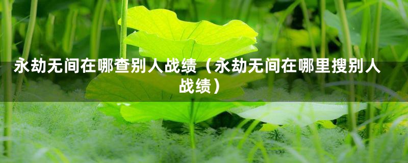 永劫无间在哪查别人战绩（永劫无间在哪里搜别人战绩）