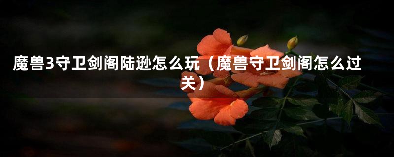 魔兽3守卫剑阁陆逊怎么玩(魔兽守卫剑阁怎么过关)