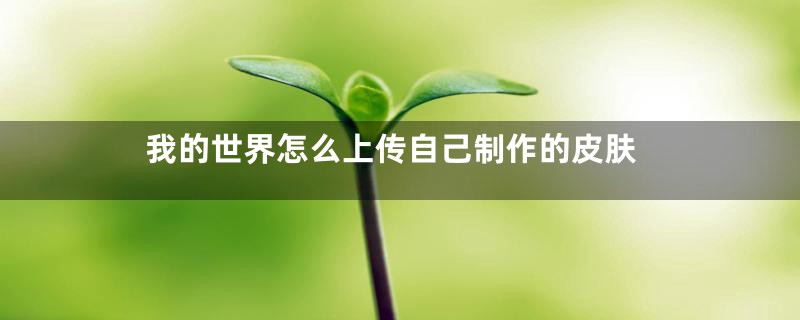 我的世界怎么上传自己制作的皮肤