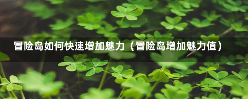 冒险岛如何快速增加魅力(冒险岛增加魅力值)