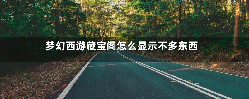 梦幻西游藏宝阁怎么显示不多东西