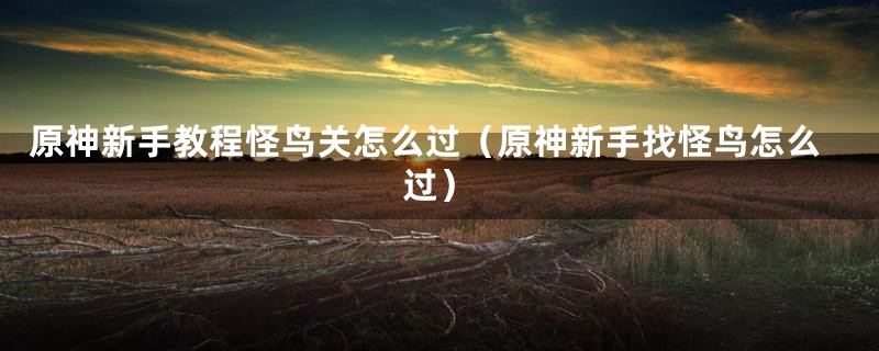 原神新手教程怪鸟关怎么过（原神新手找怪鸟怎么过）
