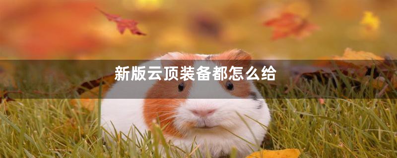 新版云顶装备都怎么给