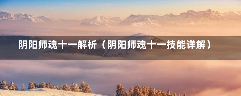 阴阳师魂十一解析（阴阳师魂十一技能详解）