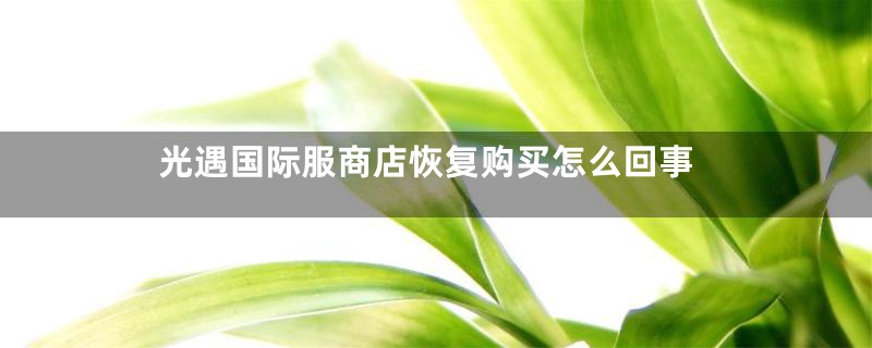 光遇国际服商店恢复购买怎么回事