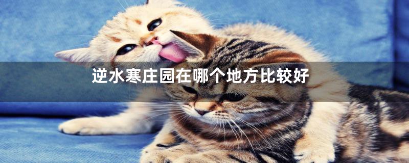 逆水寒庄园在哪个地方比较好
