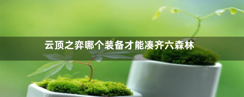 云顶之弈哪个装备才能凑齐六森林