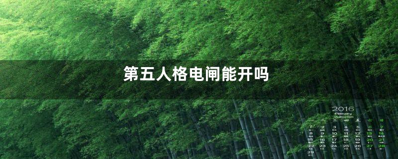第五人格电闸能开吗