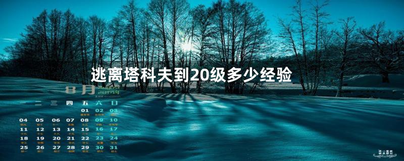 逃离塔科夫到20级多少经验