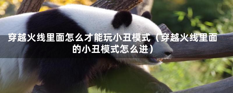 穿越火线里面怎么才能玩小丑模式（穿越火线里面的小丑模式怎么进）
