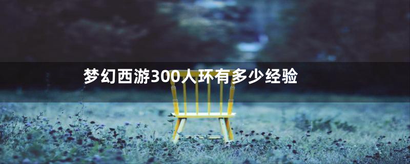 梦幻西游300人环有多少经验