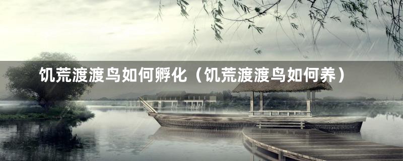 饥荒渡渡鸟如何孵化(饥荒渡渡鸟如何养)