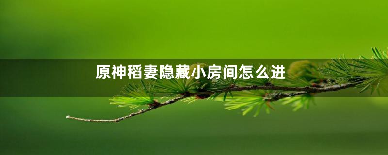 原神稻妻隐藏小房间怎么进