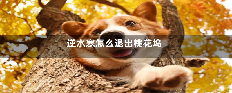 逆水寒怎么退出桃花坞