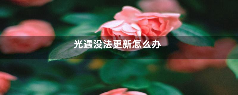 光遇没法更新怎么办