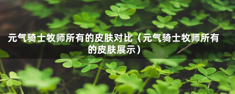 元气骑士牧师所有的皮肤对比（元气骑士牧师所有的皮肤展示）
