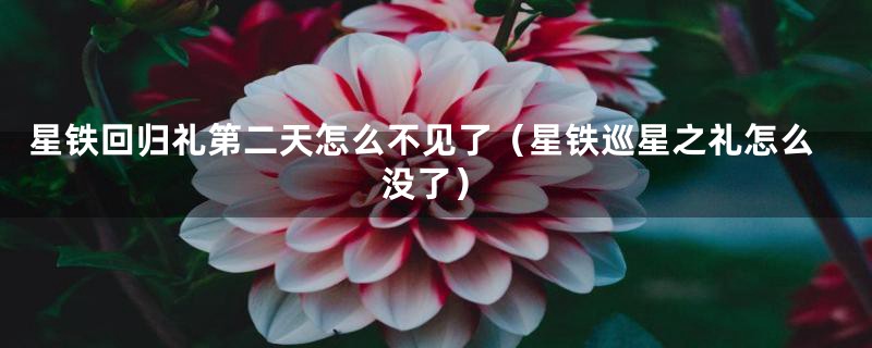 星铁回归礼第二天怎么不见了(星铁巡星之礼怎么没了)
