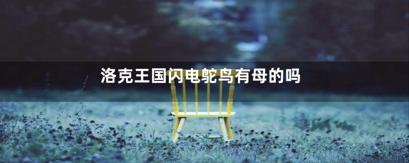 洛克王国闪电鸵鸟有母的吗