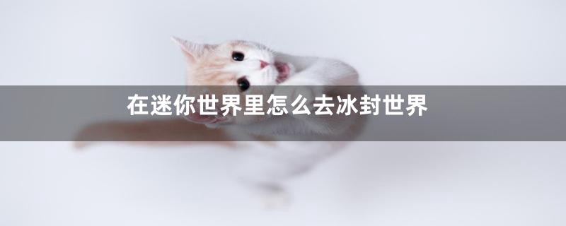 在迷你世界里怎么去冰封世界