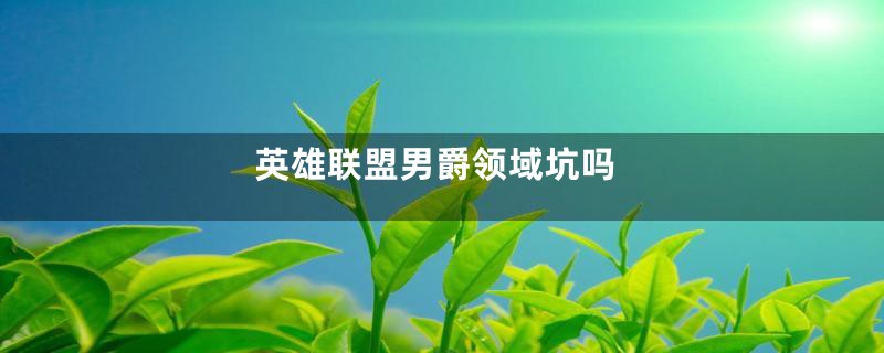 英雄联盟男爵领域坑吗