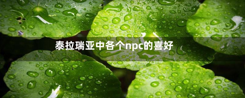 泰拉瑞亚中各个npc的喜好