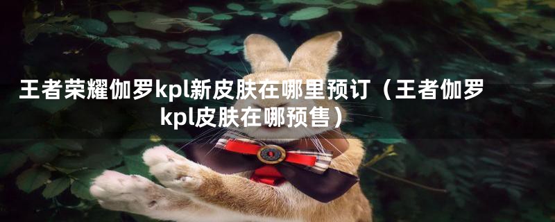 王者荣耀伽罗kpl新皮肤在哪里预订(王者伽罗kpl皮肤在哪预售)