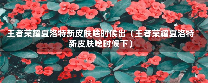 王者荣耀夏洛特新皮肤啥时候出(王者荣耀夏洛特新皮肤啥时候下)