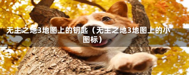 无主之地3地图上的钥匙（无主之地3地图上的小图标）
