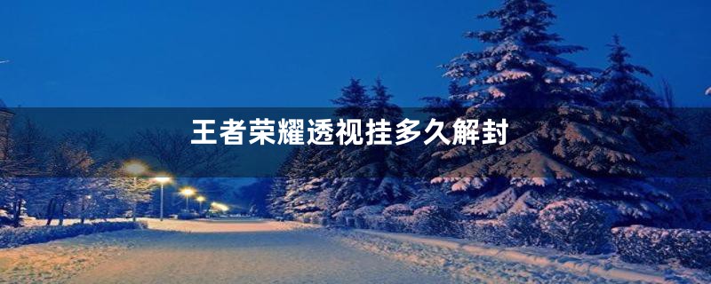 王者荣耀透视挂多久解封