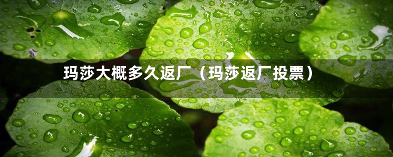玛莎大概多久返厂(玛莎返厂投票)