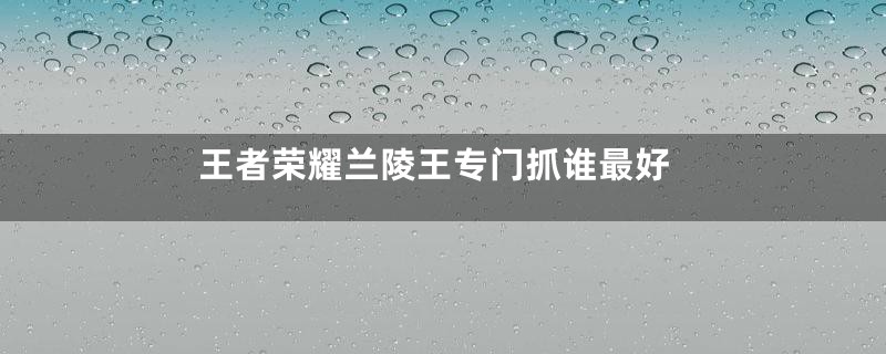 王者荣耀兰陵王专门抓谁最好